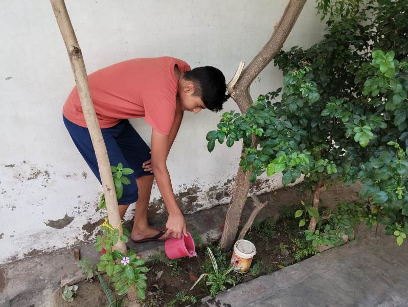 project